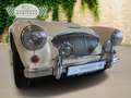 Austin-Healey 100 100 4 Edelstahl Endschalldämpfer Leder rot Blanc - thumbnail 18