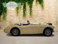 Austin-Healey 100 100 4 Edelstahl Endschalldämpfer Leder rot Blanc - thumbnail 6