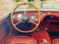 Austin-Healey 100 100 4 Edelstahl Endschalldämpfer Leder rot Blanc - thumbnail 10