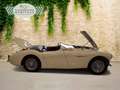 Austin-Healey 100 100 4 Edelstahl Endschalldämpfer Leder rot Blanc - thumbnail 16