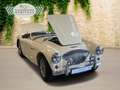 Austin-Healey 100 100 4 Edelstahl Endschalldämpfer Leder rot Blanc - thumbnail 17