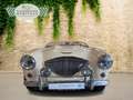 Austin-Healey 100 100 4 Edelstahl Endschalldämpfer Leder rot Blanc - thumbnail 19