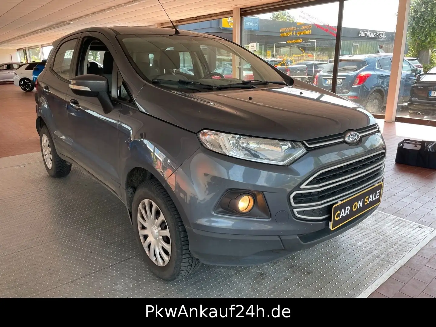 Ford EcoSport Trend Gris - 2