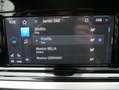 Ford Grand Tourneo 2.0 EBlue L2  Active/ 4 J Garantie Grau - thumbnail 22