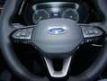 Ford Grand Tourneo 2.0 EBlue L2  Active/ 4 J Garantie Grau - thumbnail 18
