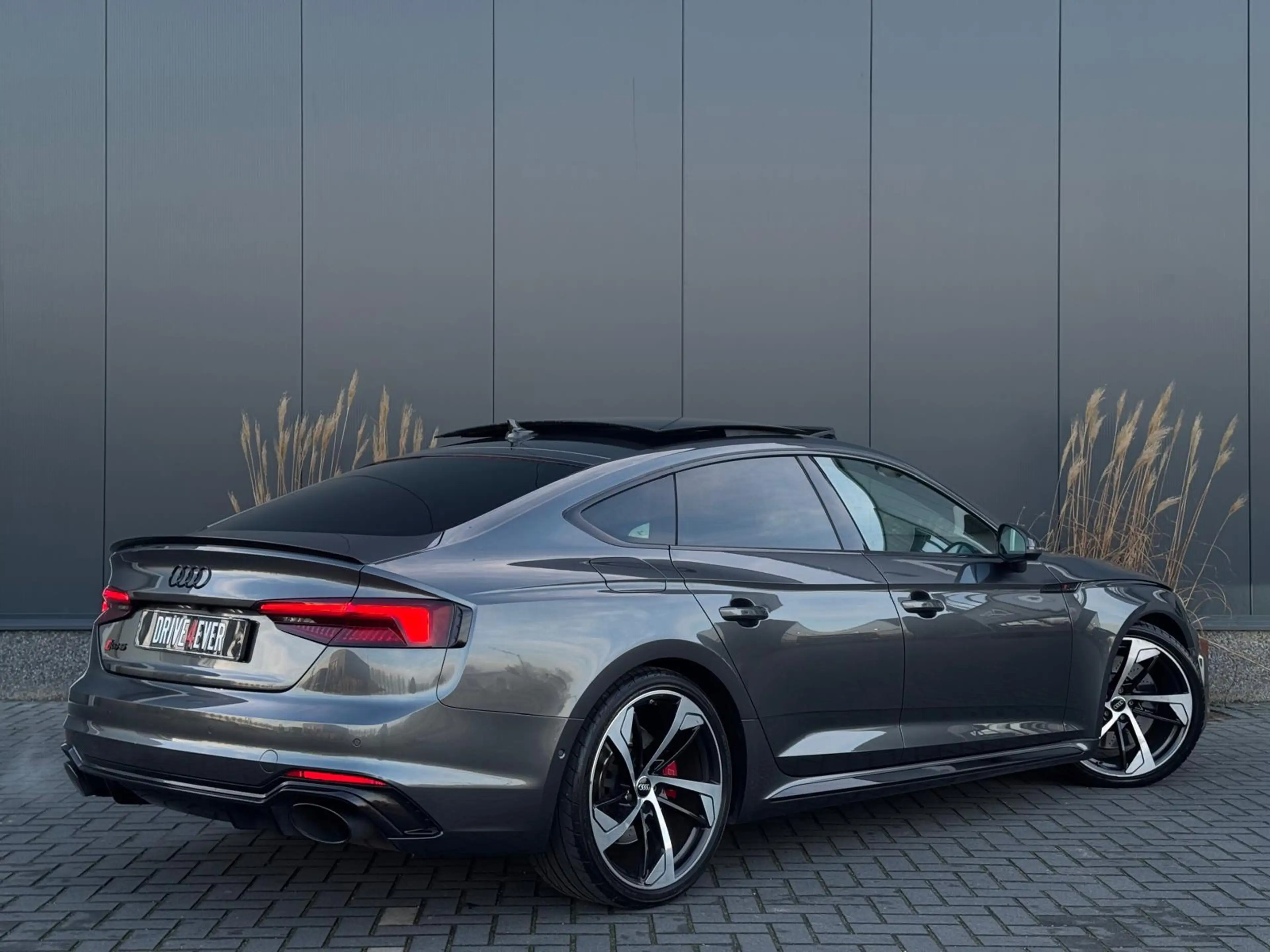 Audi RS5 Sportback 2.9 TFSI RS 5 quattro FULL PANO|LEDER|CL — photo 3