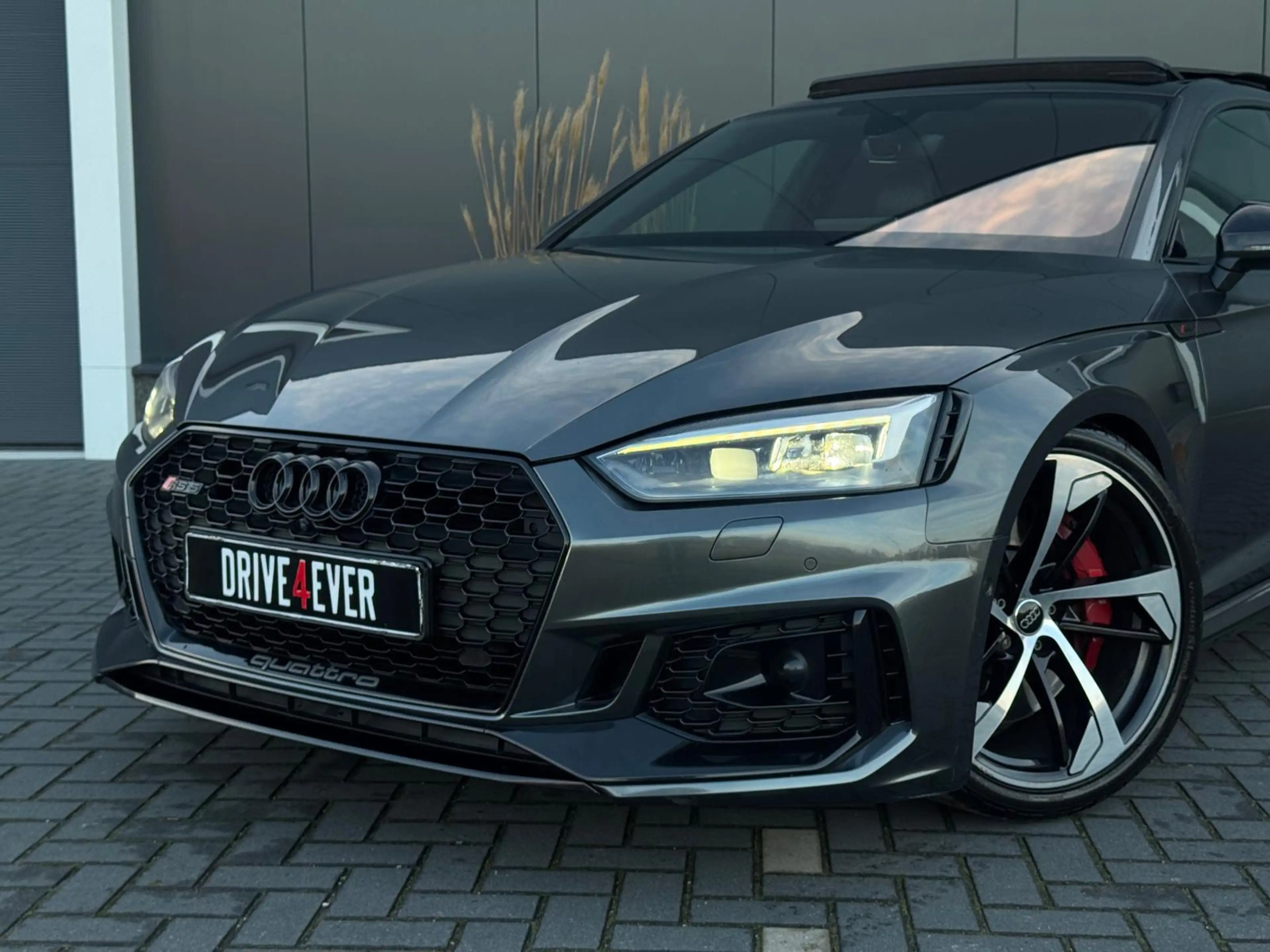 Audi RS5 Sportback 2.9 TFSI RS 5 quattro FULL PANO|LEDER|CL — photo 5