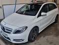 Mercedes-Benz B 200 B 200 CDI (BlueEFFICIENCY) 7G-DCT Weiß - thumbnail 6
