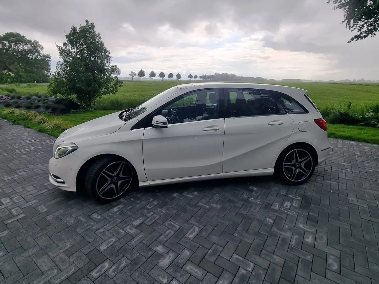 Mercedes-Benz B 200 B 200 CDI (BlueEFFICIENCY) 7G-DCT Weiß - 1