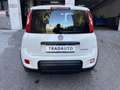 Fiat Panda Panda 1.0 firefly hybrid permuta Bianco - thumbnail 7