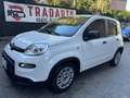 Fiat Panda Panda 1.0 firefly hybrid permuta Bianco - thumbnail 1