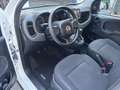 Fiat Panda Panda 1.0 firefly hybrid permuta Bianco - thumbnail 13