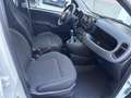 Fiat Panda Panda 1.0 firefly hybrid permuta Bianco - thumbnail 9