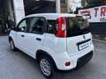 Fiat Panda Panda 1.0 firefly hybrid permuta Bianco - thumbnail 3