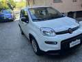 Fiat Panda Panda 1.0 firefly hybrid permuta Bianco - thumbnail 10