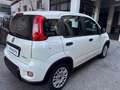 Fiat Panda Panda 1.0 firefly hybrid permuta Bianco - thumbnail 6