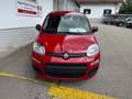 Fiat Panda 1.0 GSE Hybrid, 5Sitzer, Klima, City Paket Rot - thumbnail 2