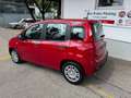 Fiat Panda 1.0 GSE Hybrid, 5Sitzer, Klima, City Paket Rot - thumbnail 4