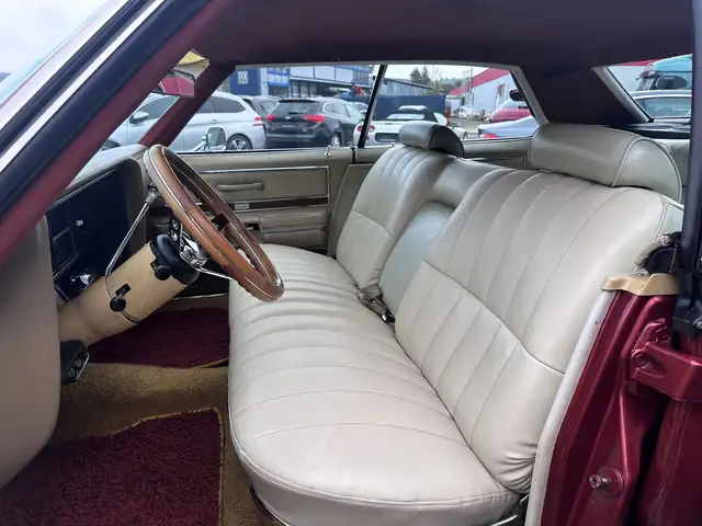 Electra Buick Electra view 15