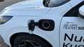 Ford Kuga Kuga 2.5 Plug In Hybrid 243 CV CVT 2WD ST-Line X Wit - thumbnail 18