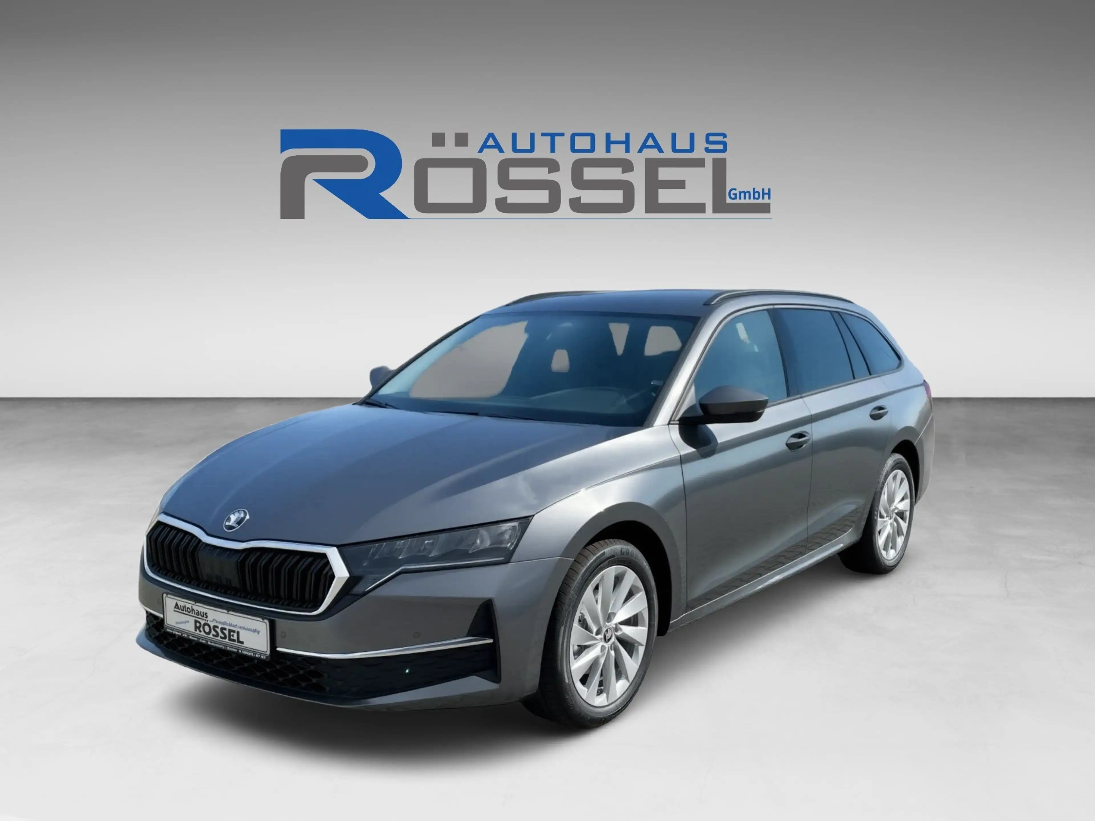Skoda Octavia Combi 1.5 TSI DSG Edition  Alu17" PDC RFK LED SHZG