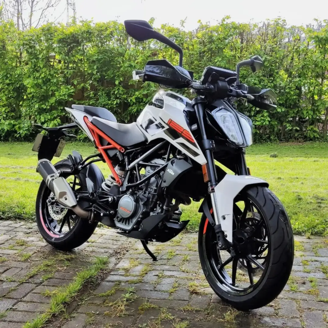 KTM 125 Duke Alb - 1