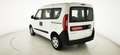 Fiat Doblo Doblò 1.3 MJT 5 posti - AUTOCARRO - PREZZO+IVA Blanc - thumbnail 5