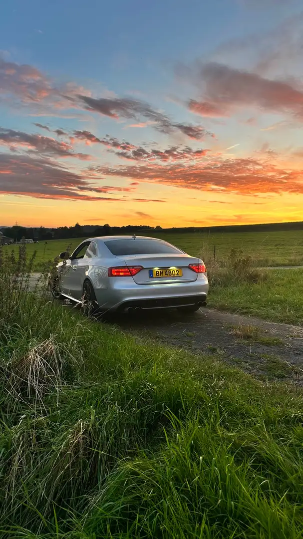 Audi S5 S5 Gri - 2