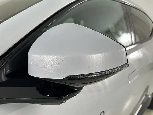 Polestar 3 Polestar 3 Long Range Dual Motor Ansicht 29