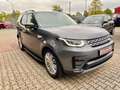 Land Rover Discovery 5 HSE/Zahnriemen gewechselt/Top gepfl. Grau - thumbnail 1
