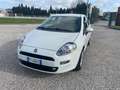 Fiat Punto Punto 5p 1.2 Street E6 Bianco - thumbnail 1