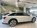 Audi A6 allroad A6 Allroad 50 3.0 tdi mhev quattro 286cv tiptronic Bianco - thumbnail 8