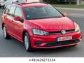 Volkswagen Golf VII Variant 2 Hand/NAVI/AHK/PDC/MULTI/TEMPO Rot - thumbnail 9