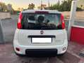 Fiat Panda Panda 1.0 firefly hybrid City Life s Bianco - thumbnail 4