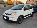 Fiat Panda Panda 1.0 firefly hybrid City Life s Bianco - thumbnail 1