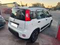 Fiat Panda Panda 1.0 firefly hybrid City Life s Bianco - thumbnail 5
