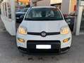 Fiat Panda Panda 1.0 firefly hybrid City Life s Bianco - thumbnail 2