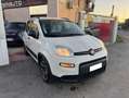 Fiat Panda Panda 1.0 firefly hybrid City Life s Bianco - thumbnail 6