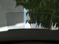 Volkswagen Tiguan 1.4 TSI Elegance eHybrid DSG AHK MATRIX Silber - thumbnail 15