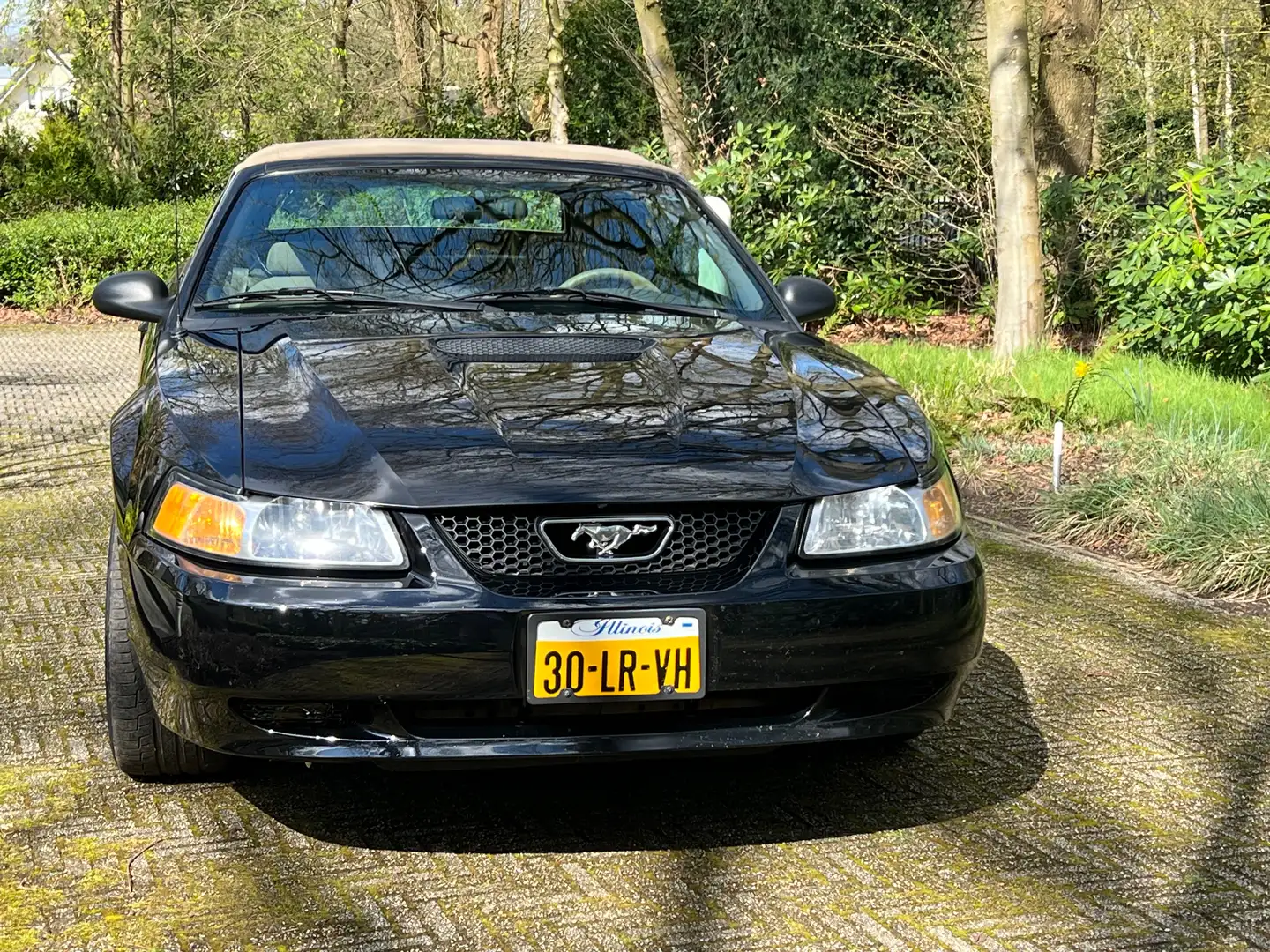 Ford Mustang Mustang 3.8 V6 Convertible Zwart - 2