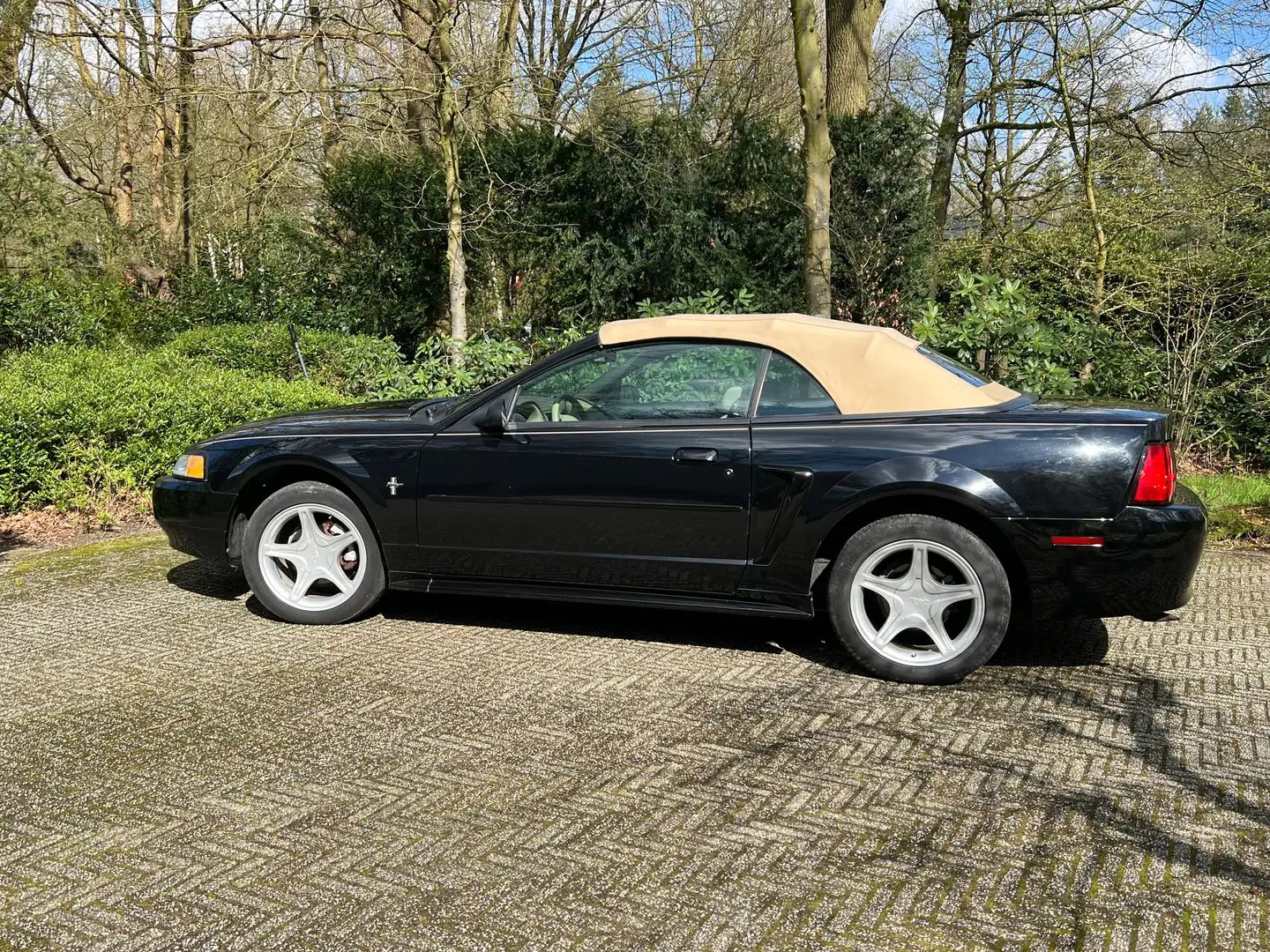 Ford Mustang Mustang 3.8 V6 Convertible Zwart - 1