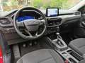 Ford Kuga 1,5 EcoBlue Titanium Rot - thumbnail 3