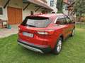 Ford Kuga 1,5 EcoBlue Titanium Rot - thumbnail 9