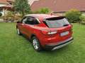 Ford Kuga 1,5 EcoBlue Titanium Rot - thumbnail 2