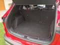 Ford Kuga 1,5 EcoBlue Titanium Rot - thumbnail 5