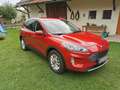 Ford Kuga 1,5 EcoBlue Titanium Rot - thumbnail 1
