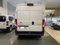 Citroen Jumper Furgon 35 L3H2 BlueHDi 103KW 140CV Blanco - thumbnail 7