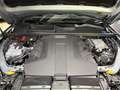 Audi Q7 Black line plus 50 TDI 210kWq. tip. Gris - thumbnail 5