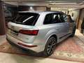 Audi Q7 Black line plus 50 TDI 210kWq. tip. Gris - thumbnail 22
