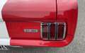 Ford Mustang Fastback GT350 Tribute Rojo - thumbnail 16